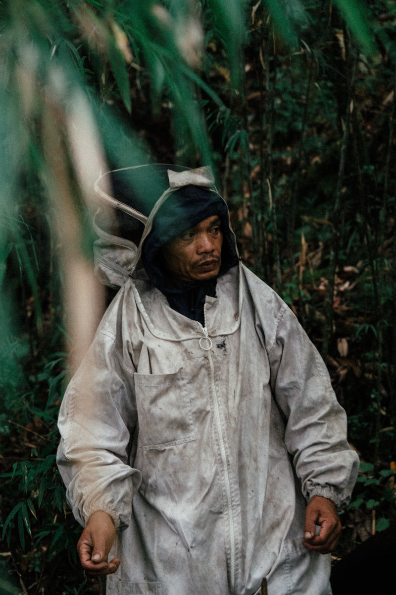 Where It All Began (2018)